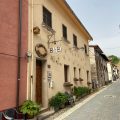 B&B Animali Selvaggi